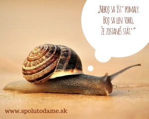 citat Neboj sa ísť pomaly.